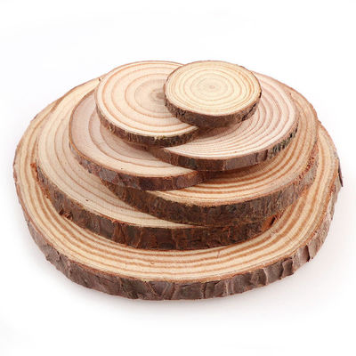 Le bois naturel non fini de 16CM découpe les métiers en tranches en bois de disques