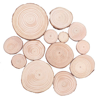Le bois naturel non fini de 16CM découpe les métiers en tranches en bois de disques