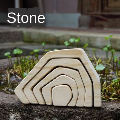 Le puzzle en bois onduleux de bloc d'Institut central des statistiques joue les blocs en bois Coral Grimm d'arc-en-ciel