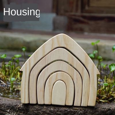 Le puzzle en bois onduleux de bloc d'Institut central des statistiques joue les blocs en bois Coral Grimm d'arc-en-ciel