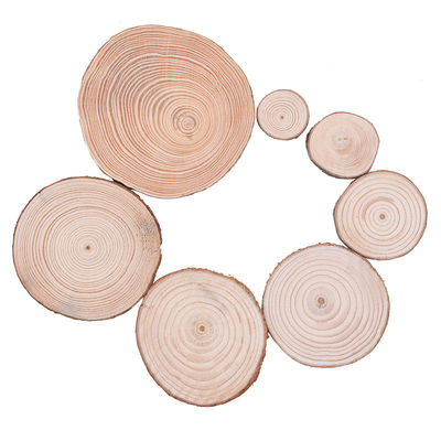 Tranches en bois naturelles de métiers en bois non finis du rondin 12cm d'écorce