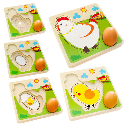 puzzle multi en bois de couche de processus de croissance du poulet 3D