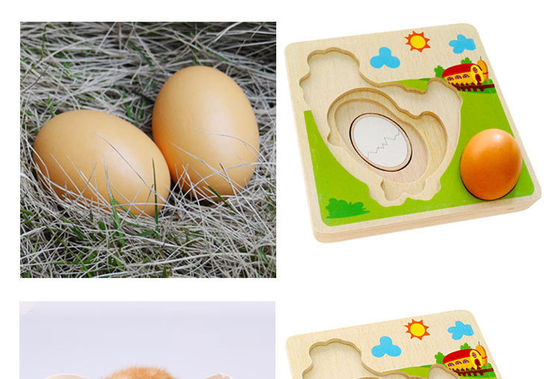 puzzle multi en bois de couche de processus de croissance du poulet 3D