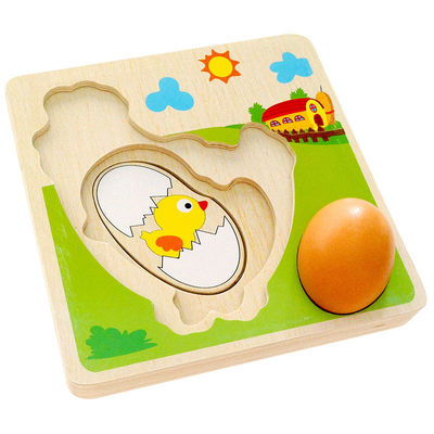 puzzle multi en bois de couche de processus de croissance du poulet 3D