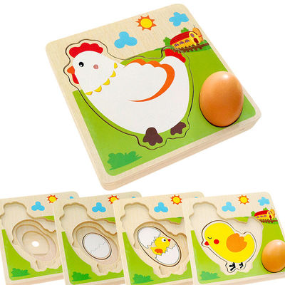 puzzle multi en bois de couche de processus de croissance du poulet 3D