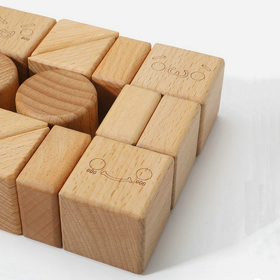 jouets en bois Montessori naturel de blocs de Burlywood du hêtre 20pcs apprenant l'éducation
