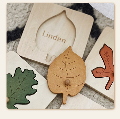 Montessori poussent des feuilles saisissant l'éducation de petite enfance de conseil