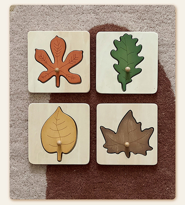 Montessori poussent des feuilles saisissant l'éducation de petite enfance de conseil